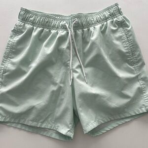 Mint Green men's Hollister Shorts